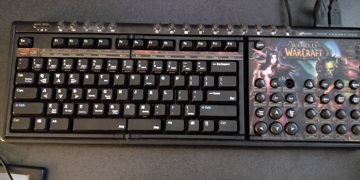 RyanMinaker's tweet photo. Really glad I kept this for all these years. #zboard #WoWClassic https://t.co/an7KnWxA2u