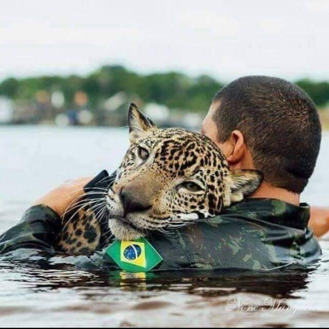 Protect_Wldlife's tweet photo. When Will It All End? 😢

#AmazonFires #AmazonRainforest #PrayforAmazon #PrayforAmazonia #AmazoniaSOS https://t.co/SYWMoa9kEG