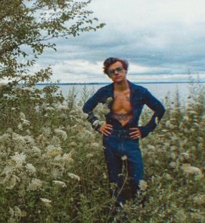 Vandt sofistikeret moronic Nica ia on Twitter: "Harry Styles with nature.… "