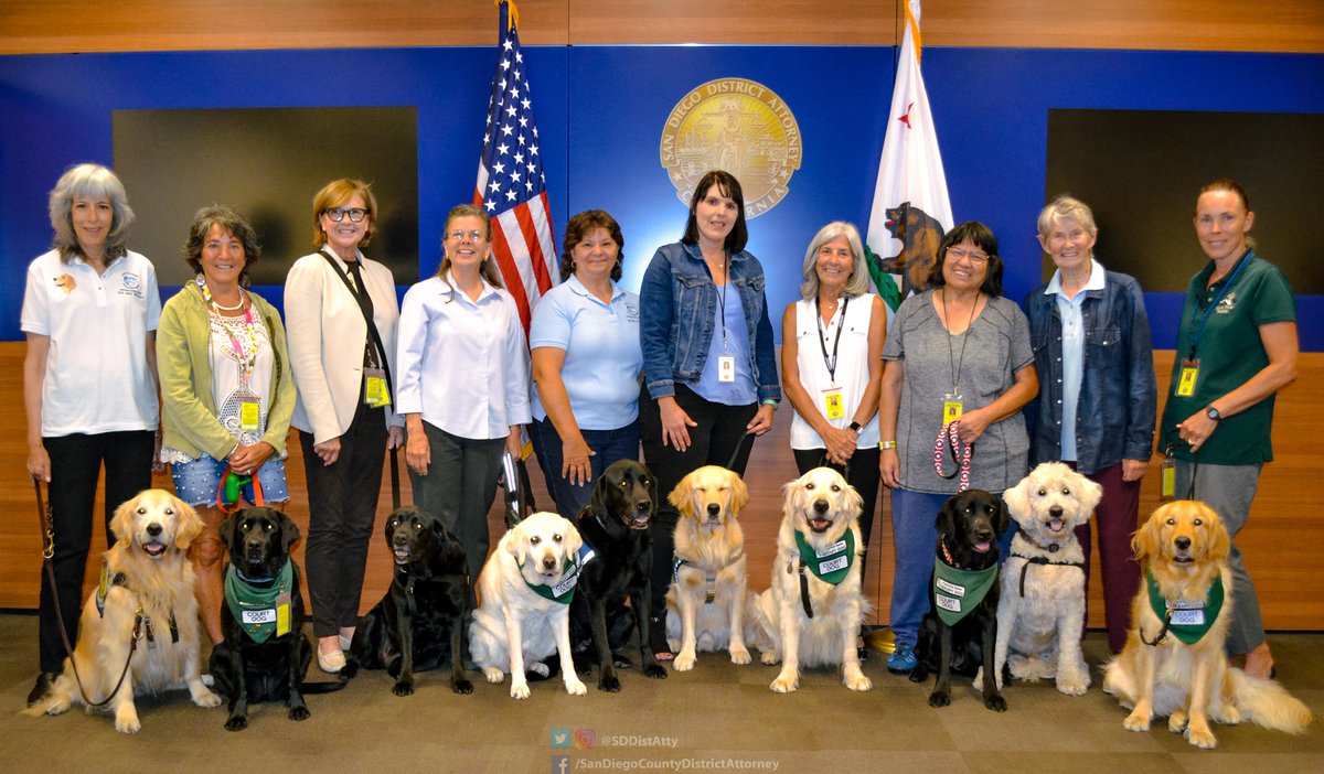 SDDistAtty's tweet photo. Happy #NationalDogDay!
In honor of this day, we are sharing this great group photo of all our #CourtDogs and their handlers, who got together last week for their annual appreciation party!
See how these four-legged heroes are helping out in court: https://t.co/0Ftt6DnmDr https://t.co/DJM8iWRcUQ