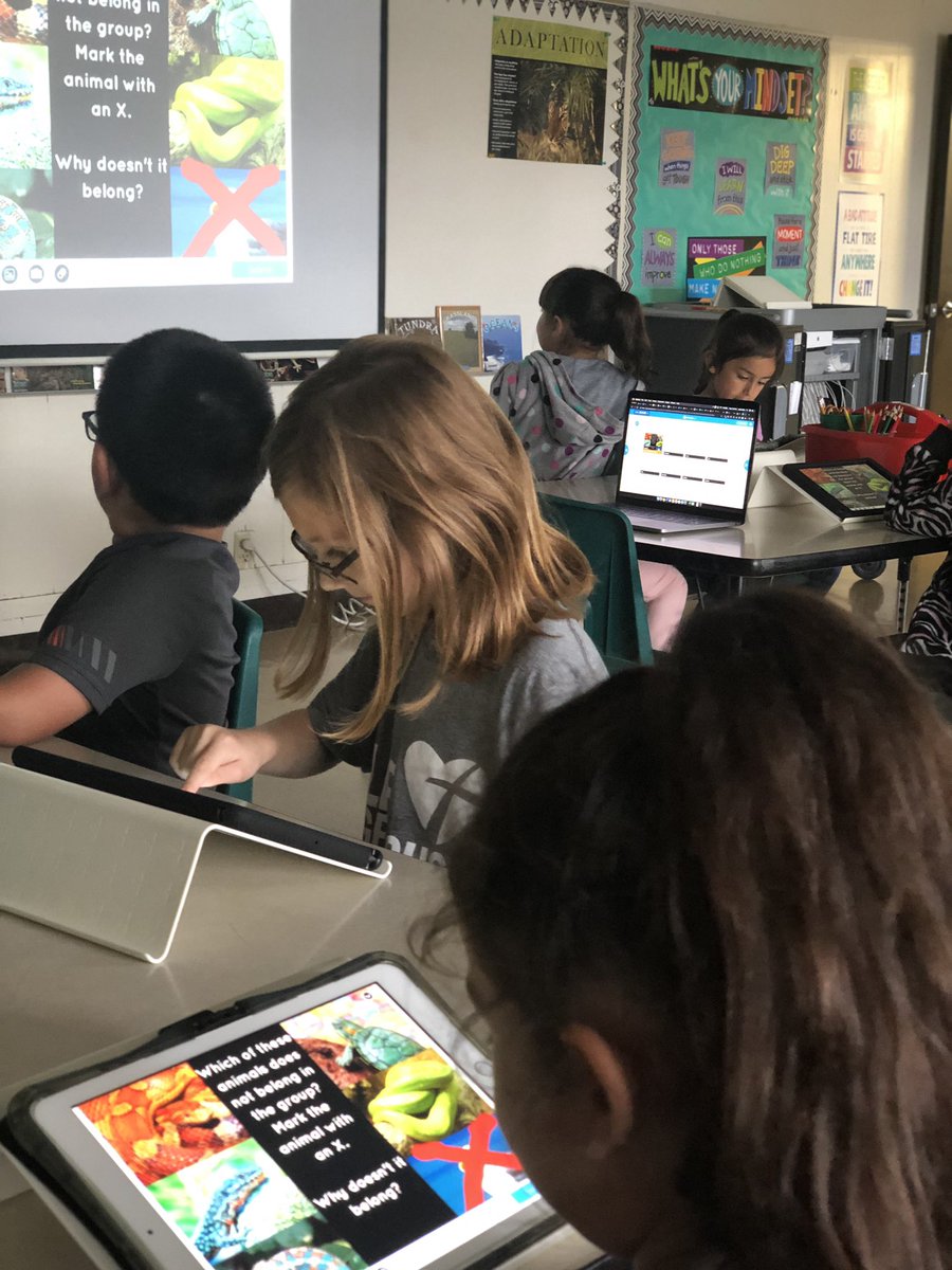 JulieMarieG06's tweet photo. Using @nearpod to explore animal adaptations! #hcisdedtech @THE_HCISD #thegt https://t.co/CgJuEtOp8F