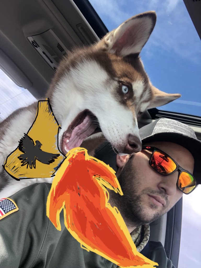 Goodfella443's tweet image. #DragonDogs