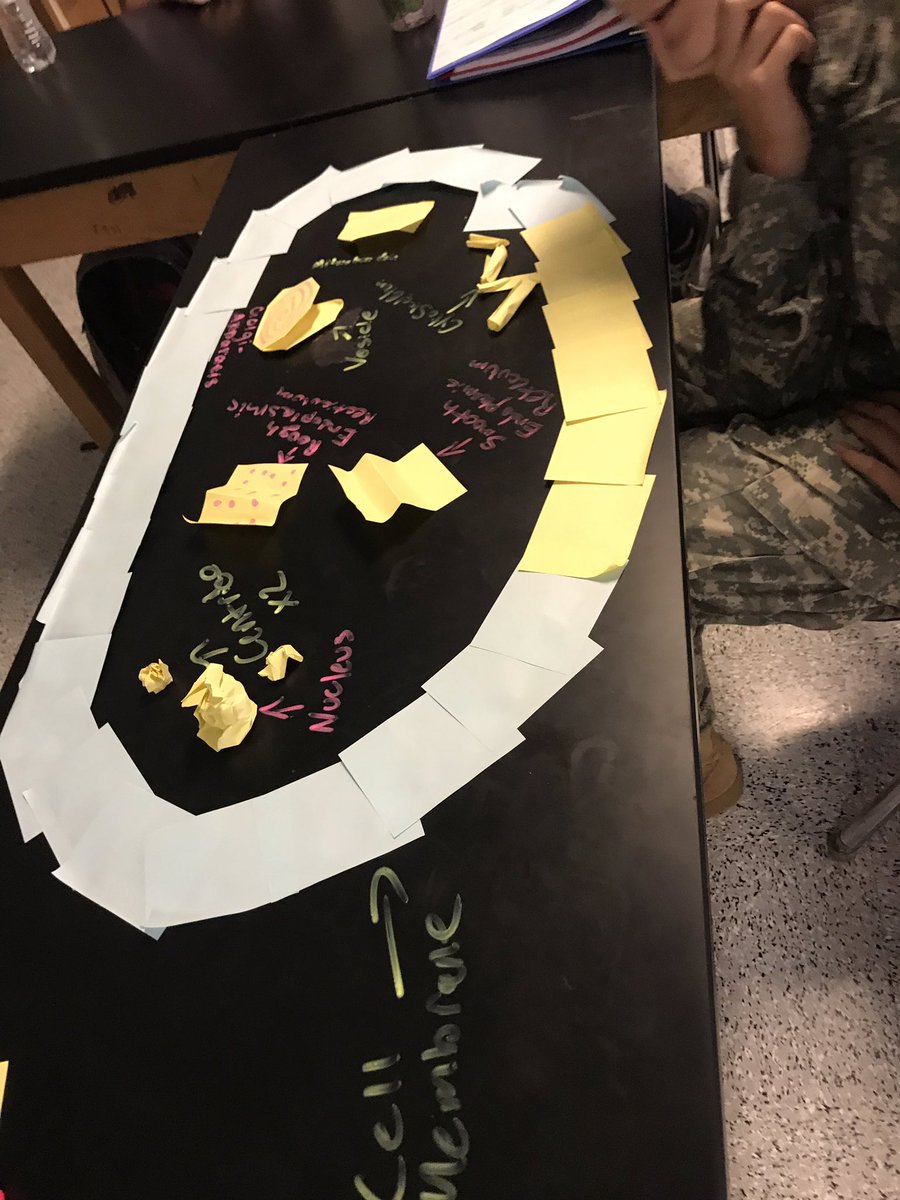 kschmitt1's tweet photo. Post it activity part 1..... impressed by what these kids remember!!! #pawsitivelyamazing @cvhs @cvhssci https://t.co/zTZAbceb9a