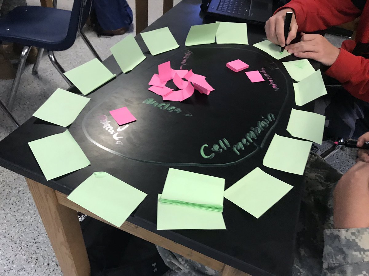 kschmitt1's tweet photo. Post it activity part 1..... impressed by what these kids remember!!! #pawsitivelyamazing @cvhs @cvhssci https://t.co/zTZAbceb9a