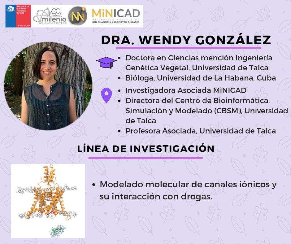 [SEMANA INFORMATIVA EN MiNICAD]

La Dra. Wendy González es Investigadora Asociada del centro y Directora del Centro de Bioinformática, Simulación y Modelado en la <a href="/UTalca/">Universidad de Talca</a> 👏 Su investigación abarca el modelado de canales ionicos ->  bit.ly/33ECrms @CienciaMilenio