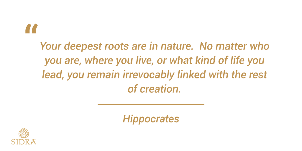 GlobalSidra's tweet photo. We all came from nature. And regardless of what you believe or what culture you belong to, you can always see a link that you are indeed part of nature. You are cared for by #nature, and your needs are satisfied by nature.

#organicproducts💚 #organicmedicine #healthylifestyle✔️ https://t.co/fU3oTy3mCr