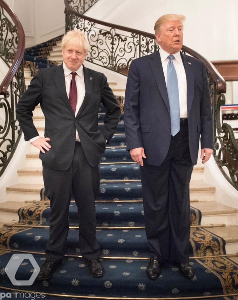 Robert_Beau's tweet photo. The new Dumb &amp; Dumber Movie looks like it’s going to be good. https://t.co/gkP7nSidVS
