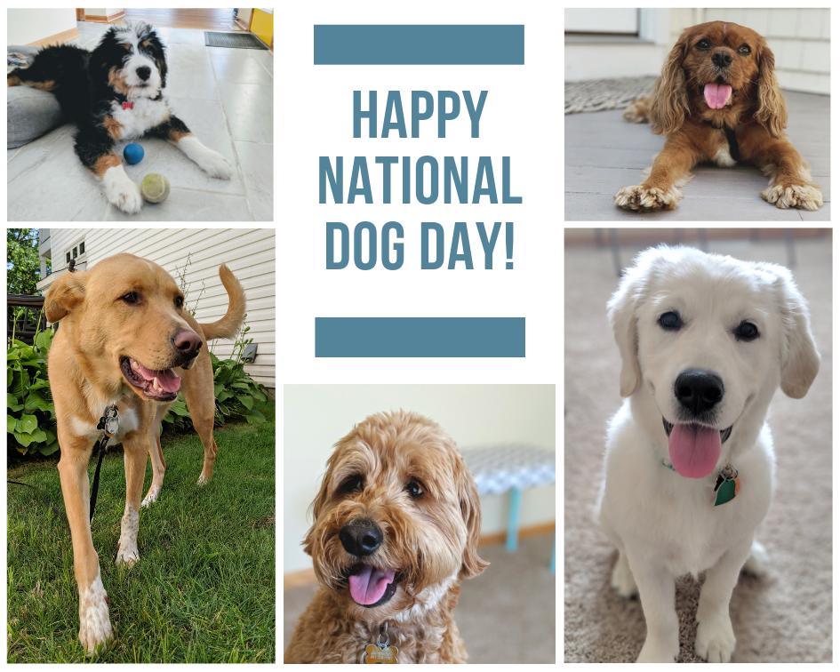 Today has us getting excited about our upcoming event, Sept 24, with @KyleGallus and <a href="/AngieGallus/">Angie Gallus</a> co-founders of Finley's Barkery! 

Check out event details: startupgrind.com/events/details…