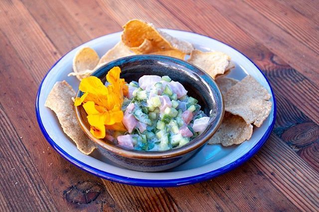 inspiredandaway's tweet photo. Local ceviche with homemade tortillas 😍#valledeguadalupe #conchasdepiedra #ceviche #foodlove https://t.co/nZDXCU9aGH https://t.co/8XaSzm5HPU