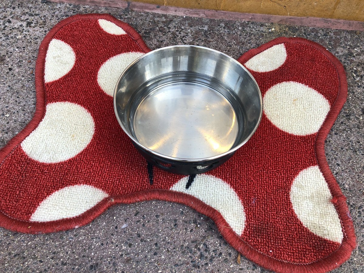 laughingplace's tweet photo. #DisneyTails pet Hydration Stations in front of Disney Home store. #DowntownDisney @DisneylandToday https://t.co/lFNLh3Sxir