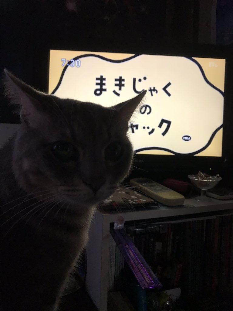 まきじゃくのジャック Hashtag On Twitter