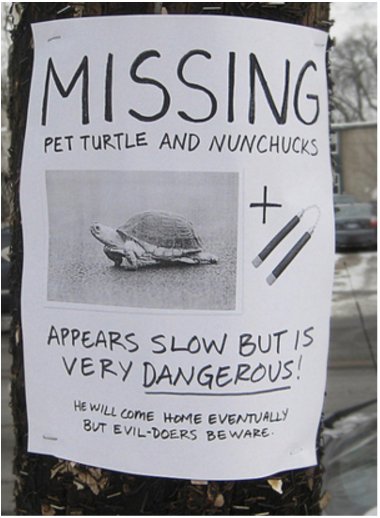 Kids For Turtles tweet media