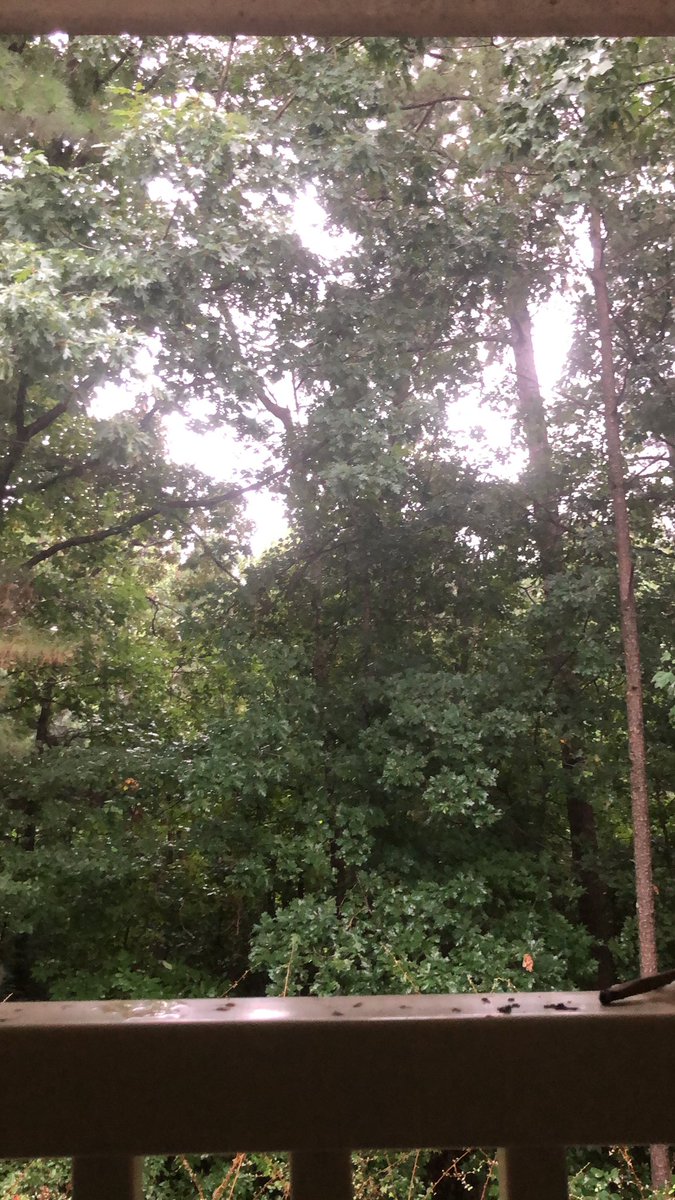 LamarPorter6's tweet photo. My Balcony View Of My New Apartment In Atlanta !! This Is PEACE !! https://t.co/KcatDPPJYo
