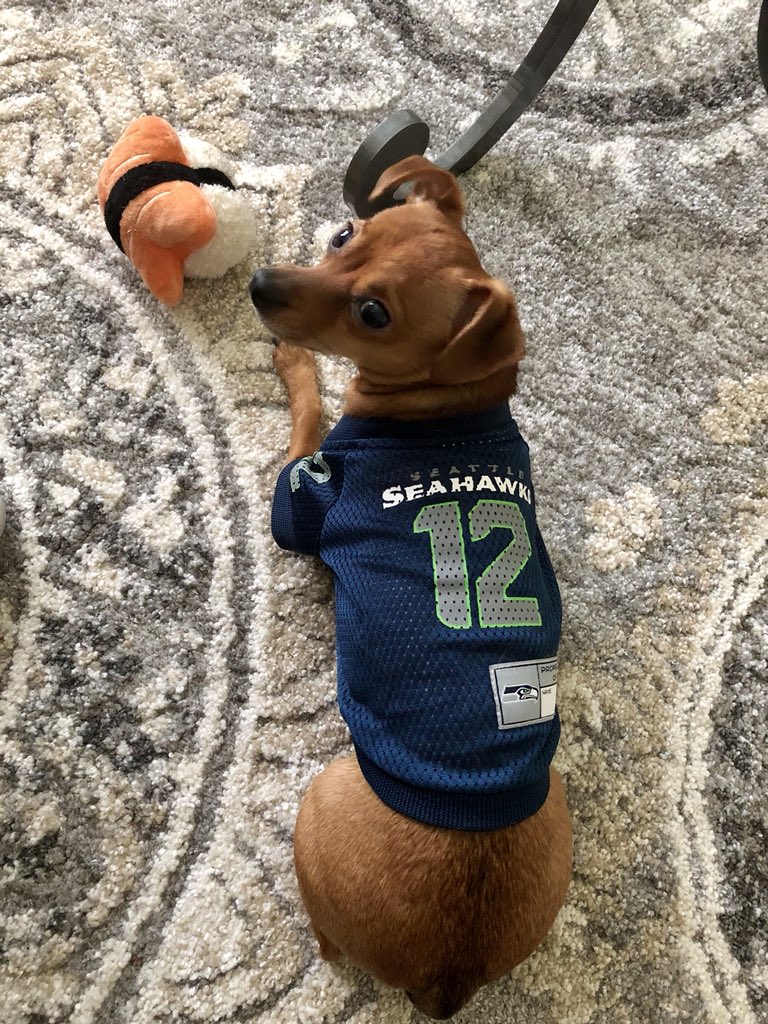 NormaLucero76's tweet photo. @Seahawks Here’s Kane #fan12 #Seahawks 💙💚 https://t.co/suwjfy15iz