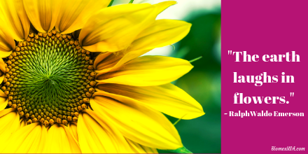 BiomexUSA's tweet photo. There’s nothing better than a smile :) 
Bio-Mex protects the earth’s smile with its #natural ingredients!  Why not try #cleaning #green with #biomexusa?! 
#gogreen #savetheearth #savetheplanet #savethebees 
#nopreservatives #nochemicals #solventfree #biodegradable #mondaythoughts https://t.co/zEiZU6pvnj