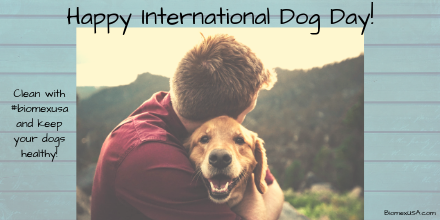 BiomexUSA's tweet photo. Happy International Dog Day!!  
#cleangreen with #biomexusa ! Cleaning with all-natural ingredients can help keep our pets &amp; environment #safe and #healthy!

#InternationalDogDay #NationalDogDay2019  #InternationalDogDay2019 https://t.co/HpMoR9K7BI