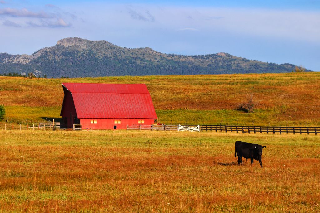 208_Surveys's tweet photo. This rustic shot was captured in McCall, ID near the airport.
#landsurvey
#accuratesurvey
https://t.co/oNfzMXD2UF https://t.co/3XfaMyun2b