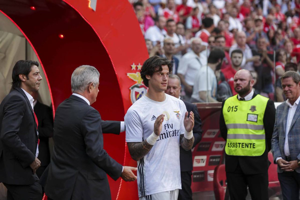 Svilar faz hoje 20 anos. Parabéns!