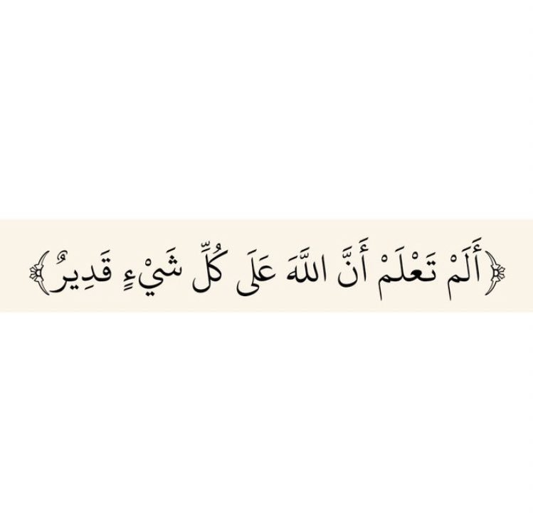 alshamre__2's tweet photo. https://t.co/boDuHgAyT7