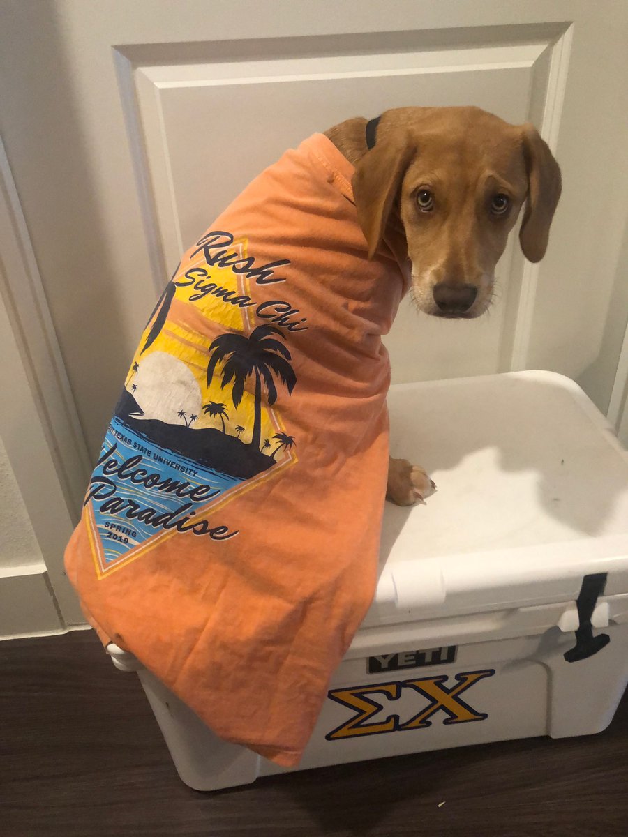 wmagedson's tweet photo. @SigmaChiTAMUC Sad hours because lawless claw drinking is no more. #RushSig #Tamuc23 https://t.co/Ibx9PZAsFs