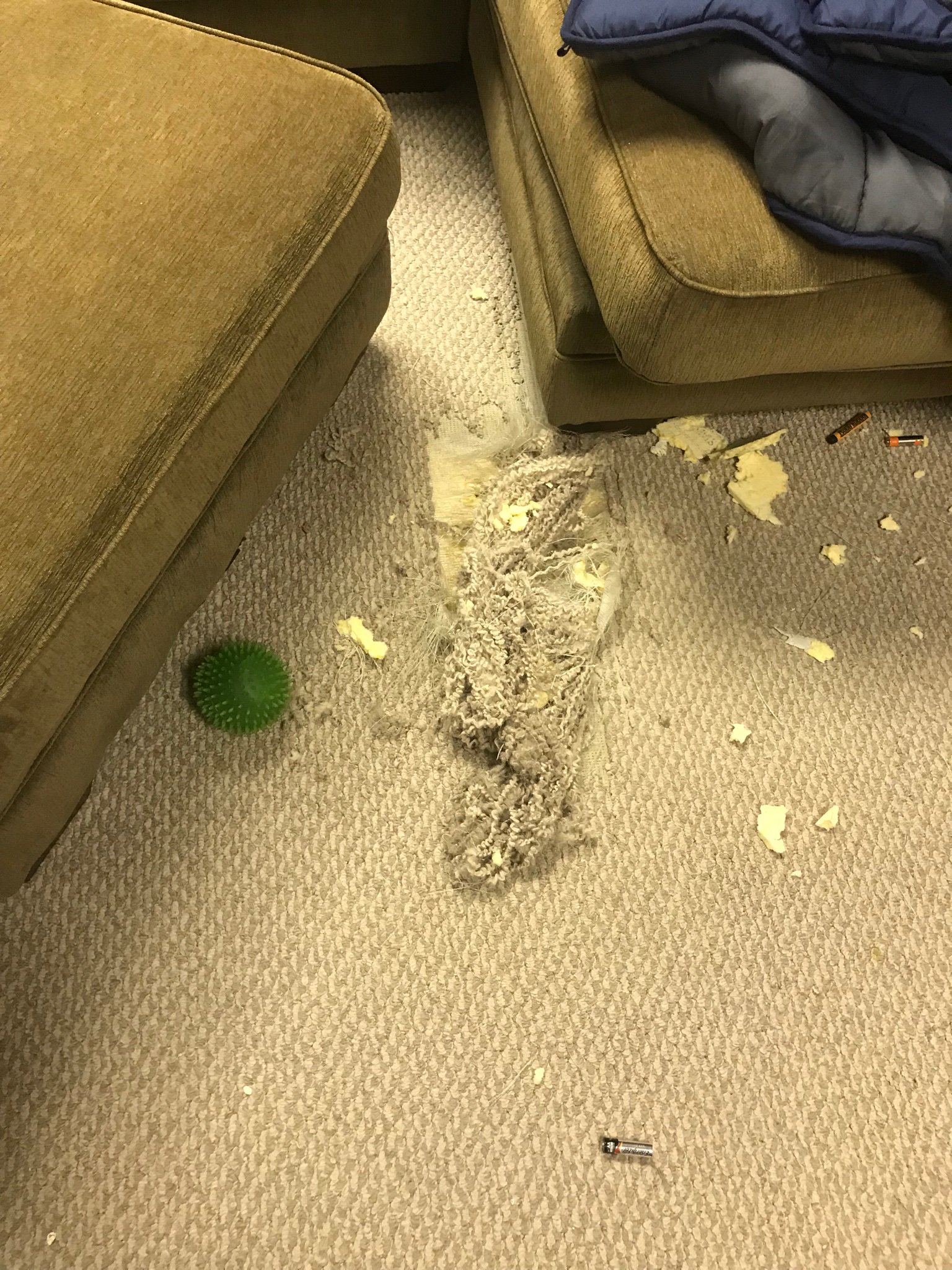 Adam Apicella on Twitter "Xav No. I heard him barking. This was a