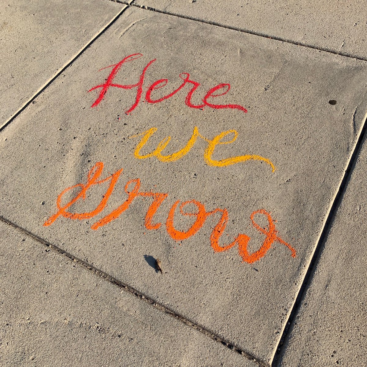 DealVikings's tweet image. We enjoyed a great ⁦@DealVikings⁩ first day of school today. Sixth grade lunch was a success! #ADMSHereWeGrow #BacktoDCPS

⁦@dcpublicschools⁩ @DCPSChancellor⁩