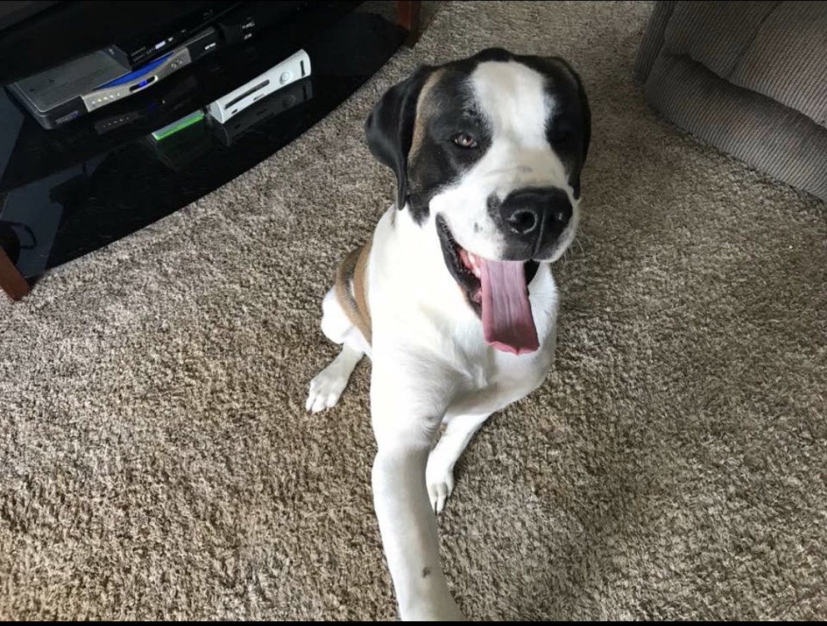 Claire🦒 tweet media