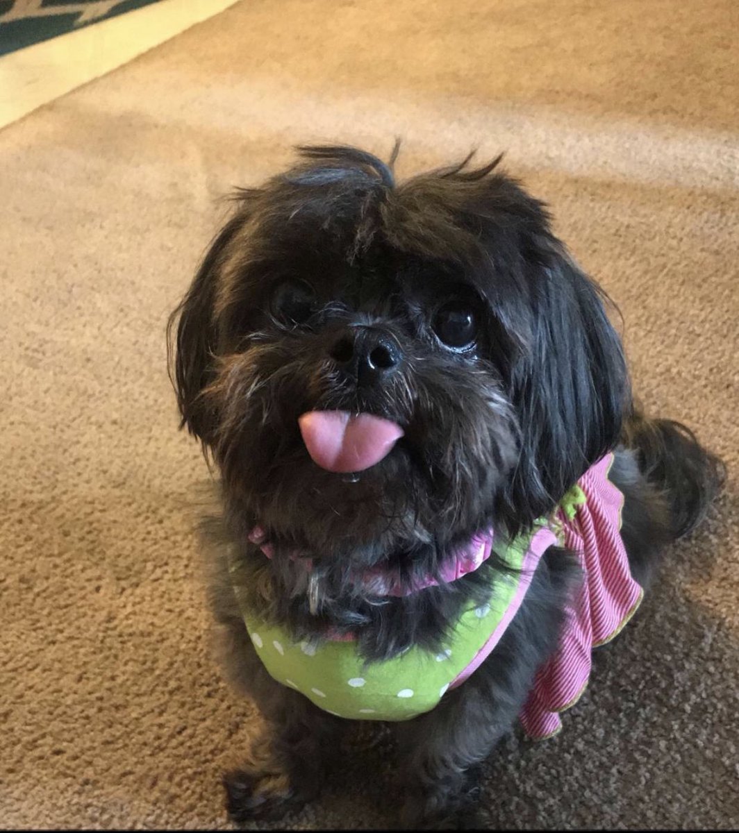 Claire🦒 tweet media