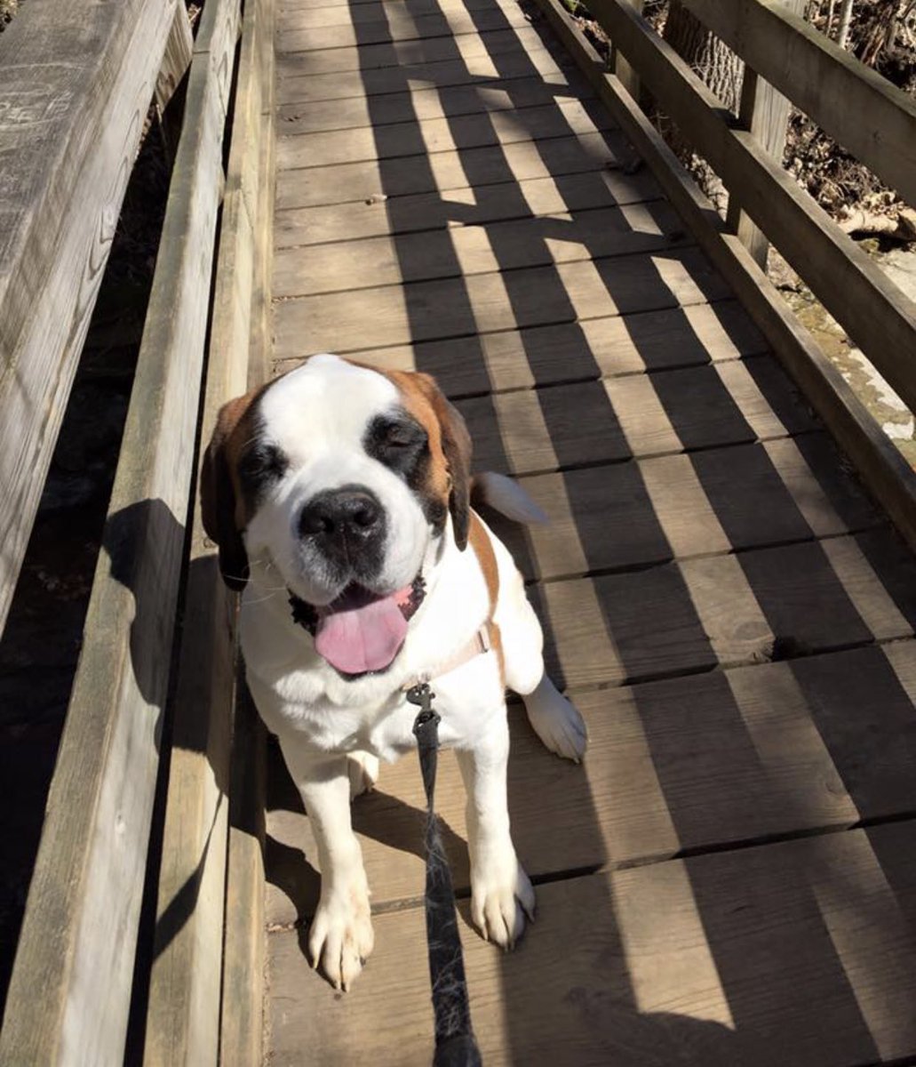 Claire🦒 tweet media