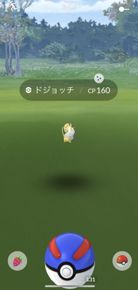 めりい ドジョッチの色違い タマゴタスクで亀高個体でた ポケモンgo めりい ドジョッチの色違い タマゴタスクで亀高個体でた ポケモンgo