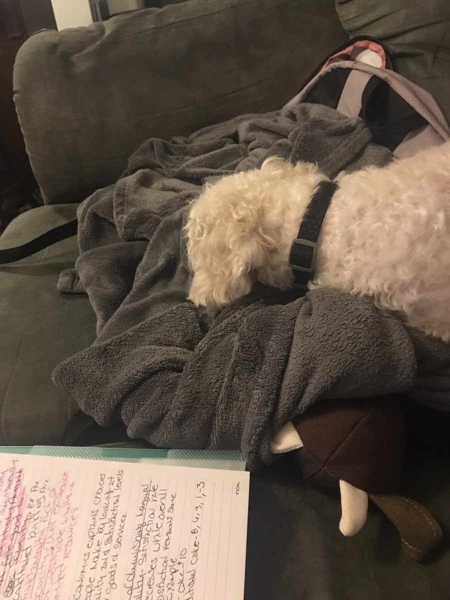 LearnLiveLean's tweet photo. Because we need more cute dogs #NationalDogDay https://t.co/m1I3epckgQ