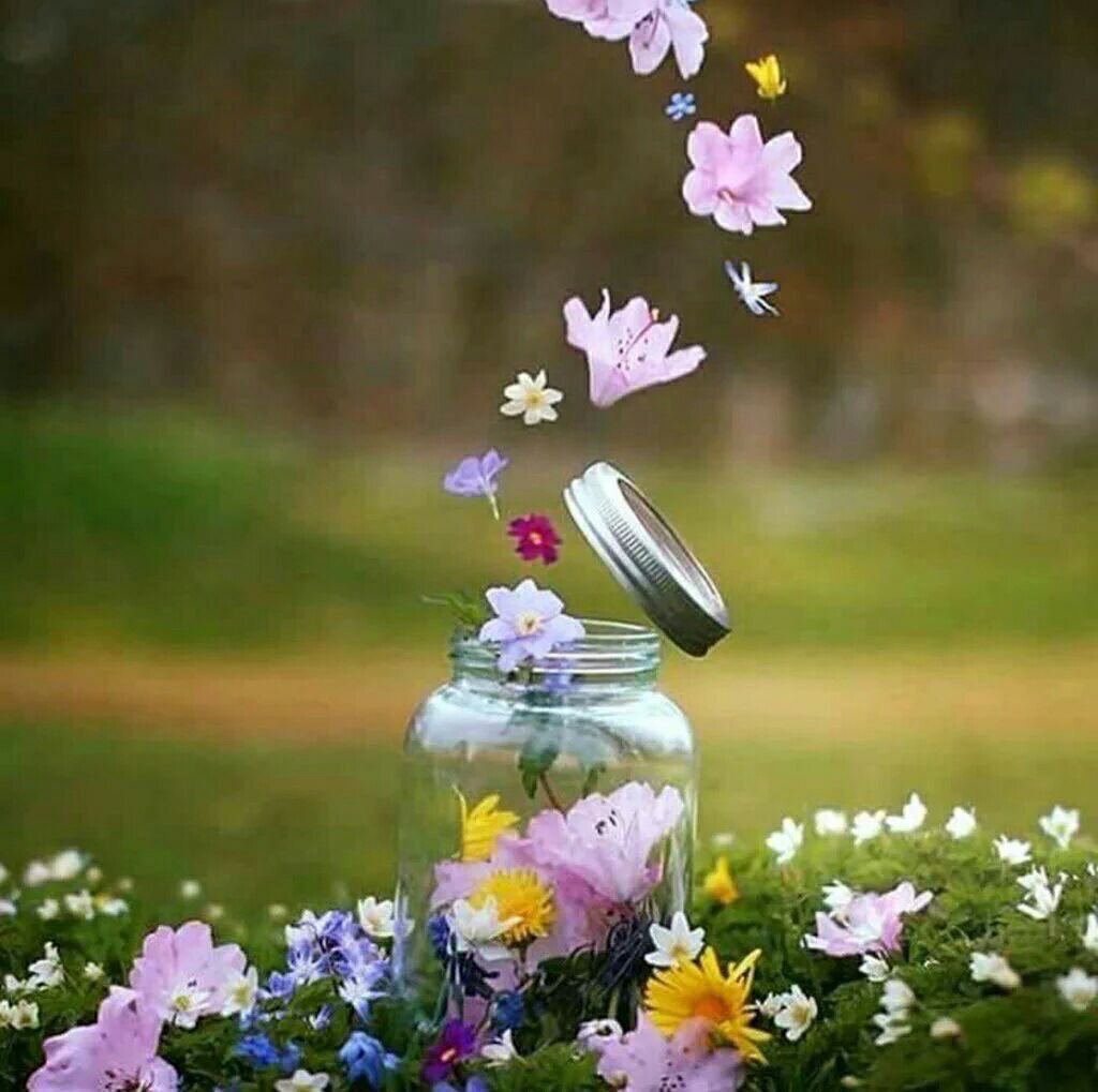 .
۞  ﷽ ۞

﴿ *ِ الْحَمْدُ للَّهِ الَّذِي أَحْيَانَا بَعْدَ مَا أَمَاتَنَا، وَإِلَيْهِ النُّشُوُر * ﴾
يارب أجعل هذا الصباح تفريجاً لگل هم وتحقيقاً لكل أمل وأستجابة ﻟگل دعوة ورحمة لكل ميت وشفاء لكل مريض .

     🍂صـــبـــاح الـــخـــيـــر🍂

#الهلال_الاتحاد