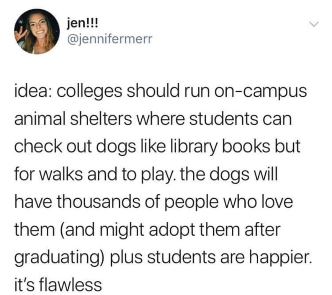 introvertsmemes's tweet image. Whoever puts this on their campaign will get my vote