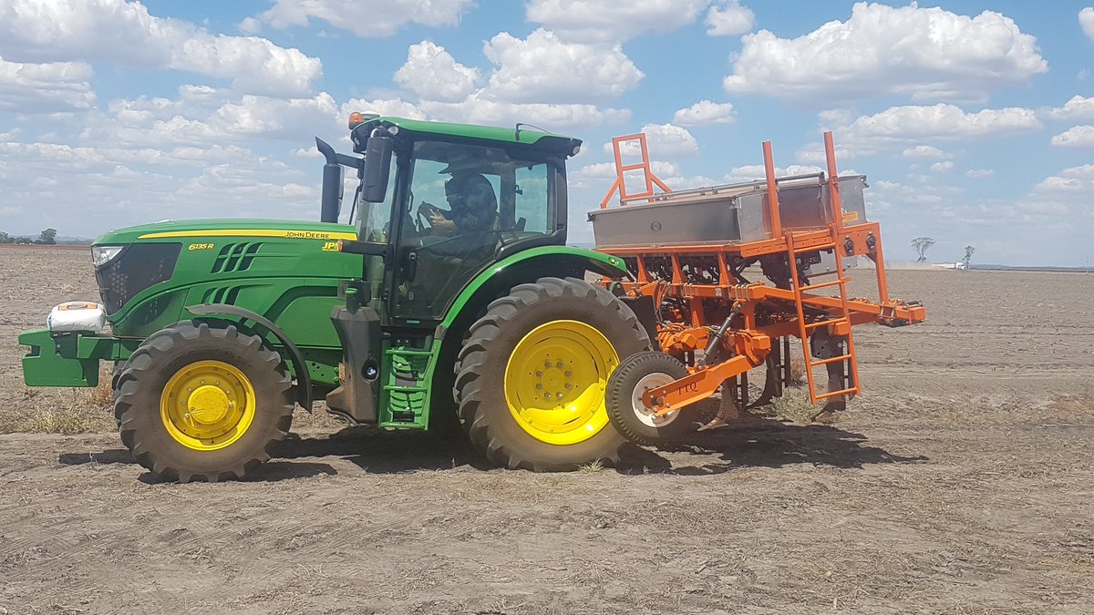 dr_dirt_oz's tweet photo. Just walking over #fababean crop in #deepP site before @onthepulseAUS brings pulse check field day in. @Wheatman01 could be something in this subsoil nutrition? @GRDCNorth @QldAgriculture https://t.co/2mx67KvLJ2