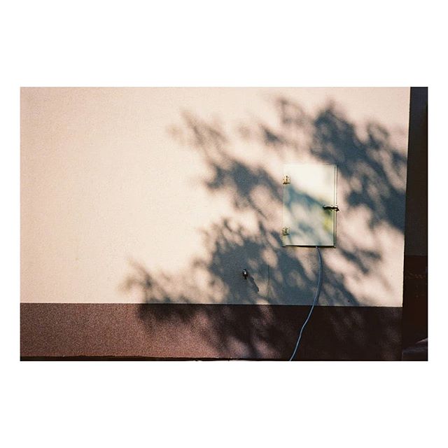 lethatechnique's tweet photo. https://t.co/pTIfUq5rO5 #photography #photo #35mm #filmphoto #lethatechnique https://t.co/9h8UOwrkYi