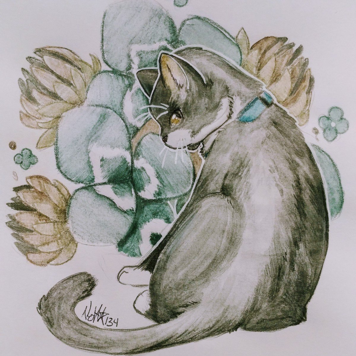 NovaStar134's tweet image. #sketchbox #sketchboxseptember #art #traditionalart #cat #animal #novadraws