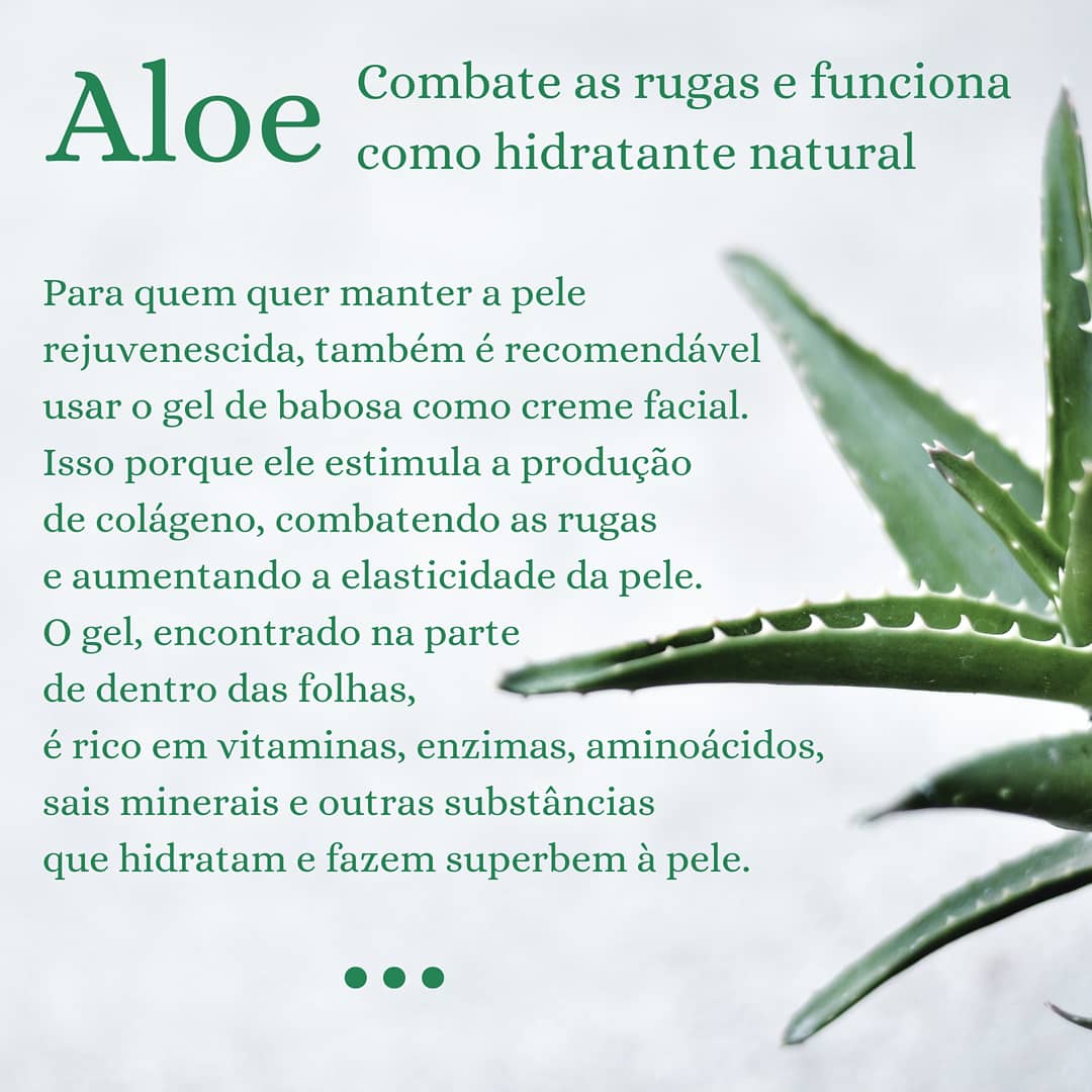 LeeamaB's tweet photo. Dica esperta sobre nossa querida Aloe vera, babosa para os íntimos!

Confira nossos produtos com Aloe vera! https://t.co/WKXJSqUzvh 

#natural #skincare #cuidadoscomapele #aloevera #babosa #hidratacao #cicatrizante #pelesaudavel… https://t.co/XAJljK95LF https://t.co/VDEZNJ9cwa