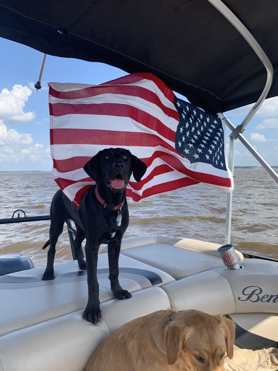 walker_tate's tweet photo. Happy National Dog Day to my dude #gunnerman https://t.co/ufFW22NxZ6