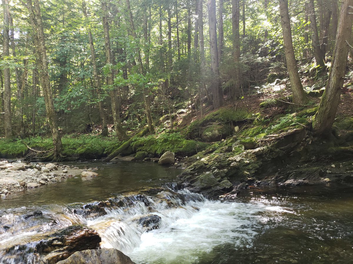 DianaCejasMD's tweet image. I did take a few pictures of people! But mostly plants. 

#BLWC19