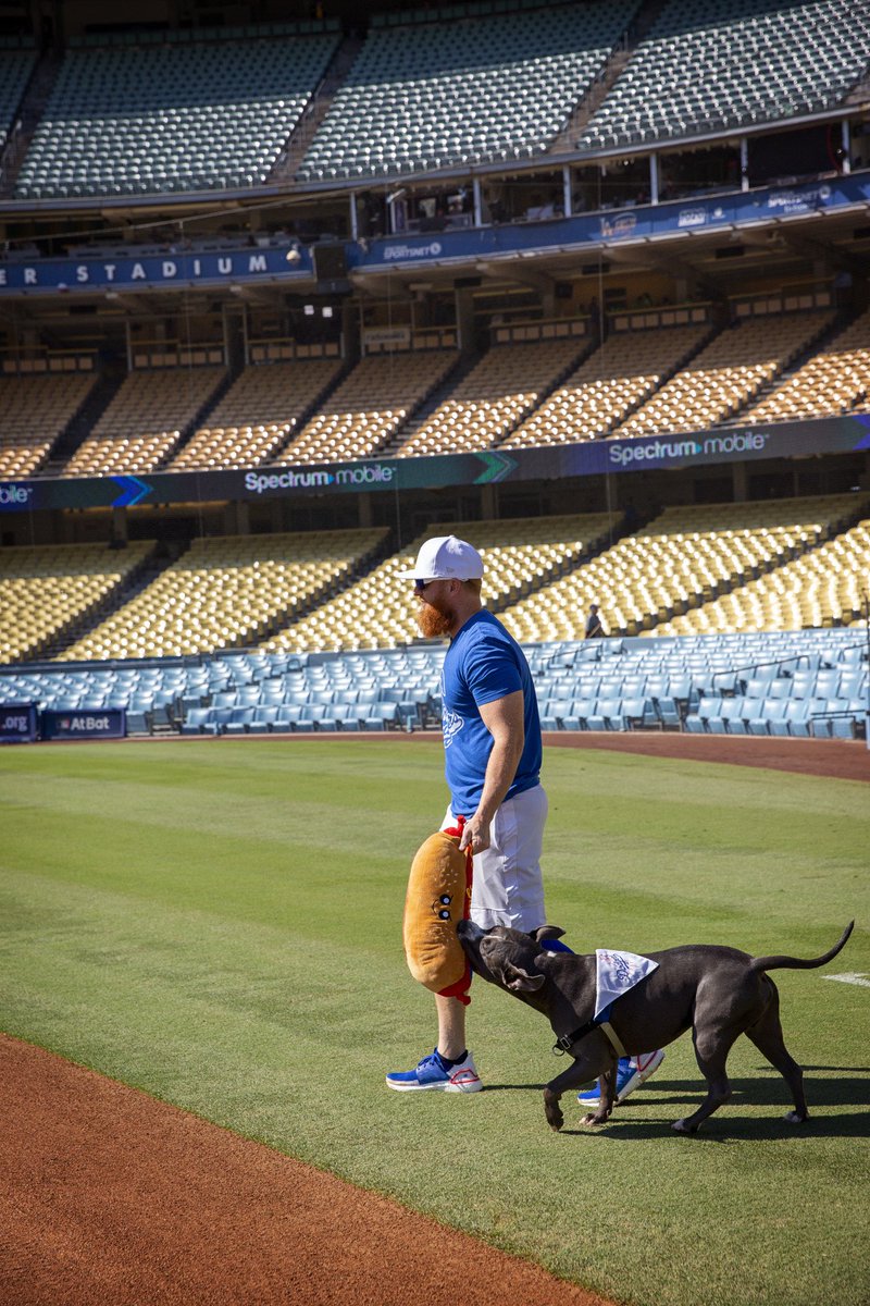 bestfriends's tweet photo. Let's play fetch! Tyson gets the entire @Dodgers Stadium all to himself with @redturn2. Out of all items on his bucket list, this one takes the cake. #ADogsDream #TeamTyson #LetsPlayFetch #NationalDogDay ^ND https://t.co/4DRnq0epV0