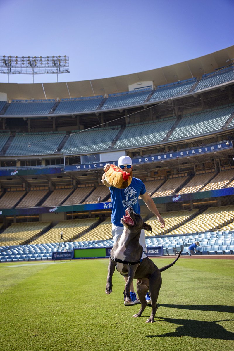 bestfriends's tweet photo. Let's play fetch! Tyson gets the entire @Dodgers Stadium all to himself with @redturn2. Out of all items on his bucket list, this one takes the cake. #ADogsDream #TeamTyson #LetsPlayFetch #NationalDogDay ^ND https://t.co/4DRnq0epV0