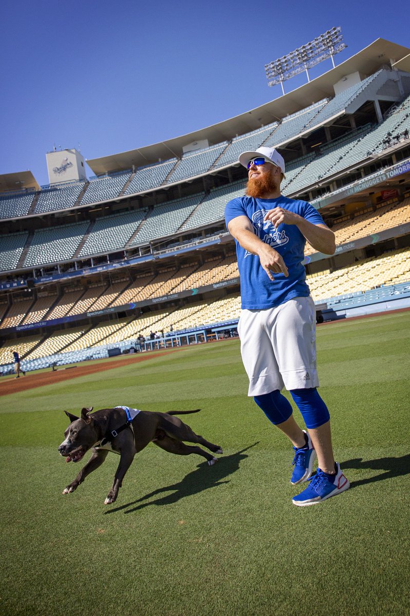 bestfriends's tweet photo. Let's play fetch! Tyson gets the entire @Dodgers Stadium all to himself with @redturn2. Out of all items on his bucket list, this one takes the cake. #ADogsDream #TeamTyson #LetsPlayFetch #NationalDogDay ^ND https://t.co/4DRnq0epV0