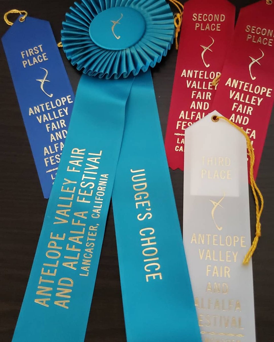 ChristiAnnHay's tweet photo. Kinda proud of myself.
First year entering in the fair, and I don't think I did too badly!
1 first place ribbon 🥇... Including the Judge's Choice Award
2 second place ribbons 🥈🥈
1 third place ribbon 🥉
#avfair #crafting #wreathmaking #proud https://t.co/qwBkvI6Cij