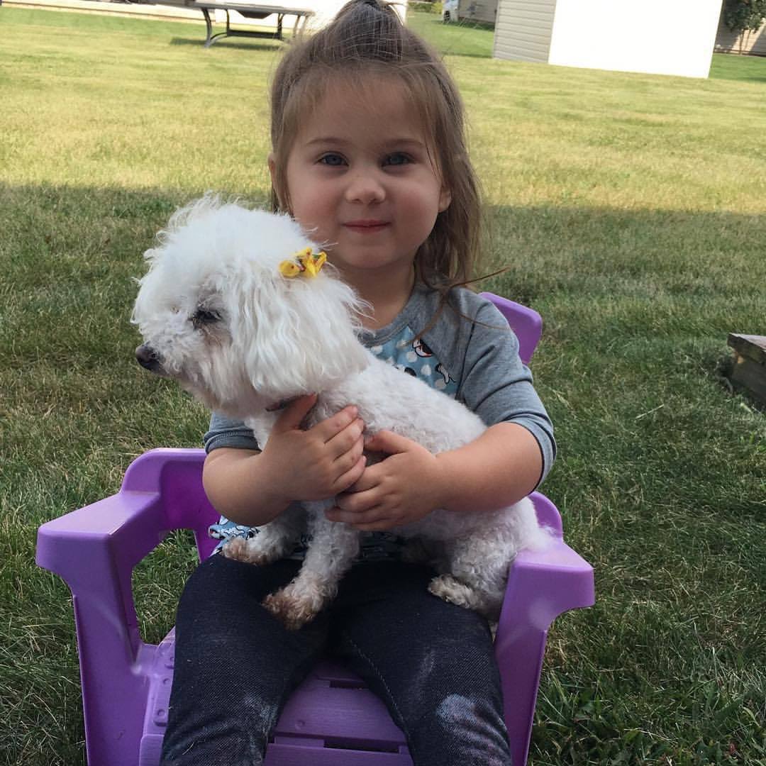 glwolff's tweet photo. National Dog day! https://t.co/TuTV20mNEW