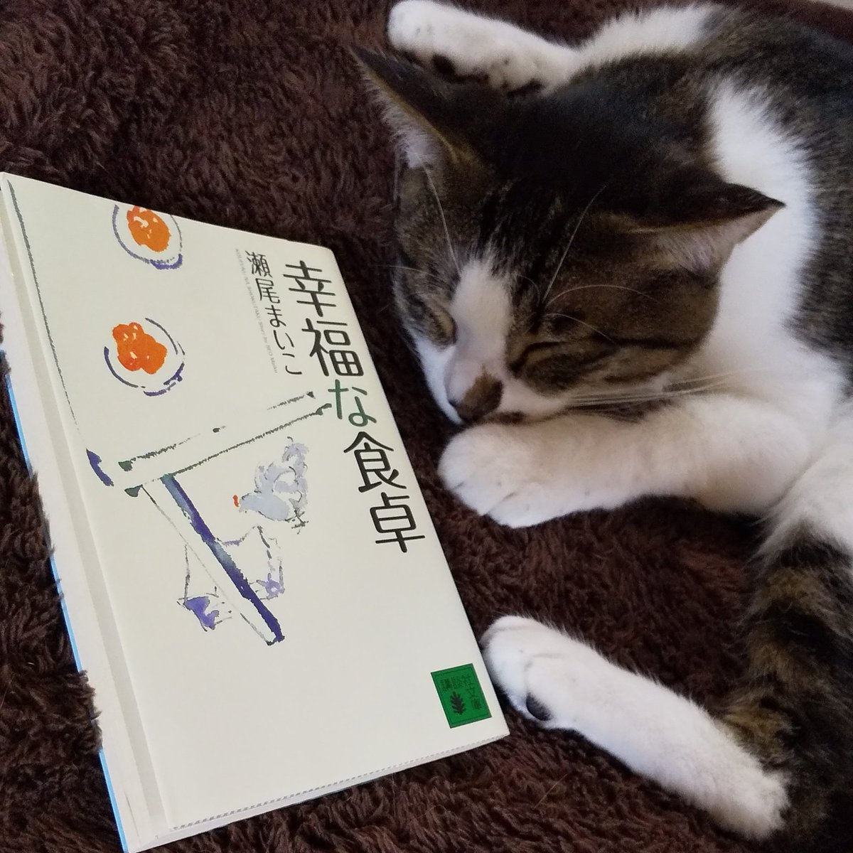 猫と読書 Memo Yuka Twitter 猫と読書 Memo Yuka Twitter