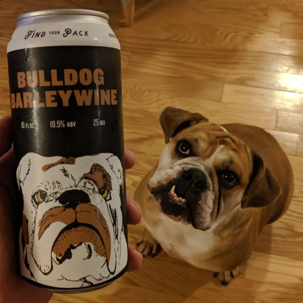 Happy #nationaldogday #craftbeer lovers! Sophie loves the can art for Bulldog Barleywine from @DogtownBrewCo in #RVA ! 
#dogsofinstagram #englishbulldog #englishbulldogs #bully #barleywine #VA #Virginia #vabeer #virginiabeer #virginiacraftbeer #richmondva #findyourpack