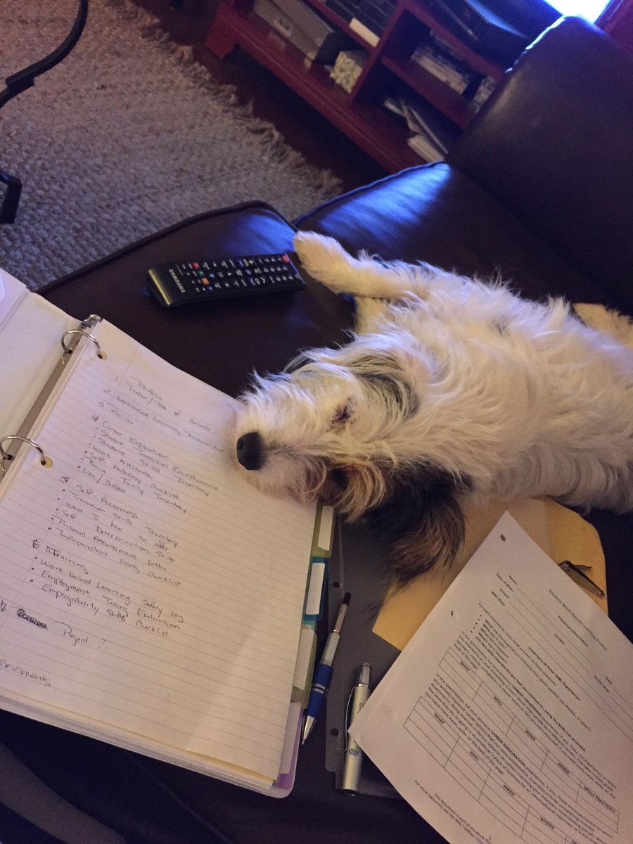 MsMcSpadden's tweet photo. @support_a_teach Lucy .. Ready for me to be finished with school work https://t.co/3Tu3z62PZn https://t.co/FDDdXTWKN1