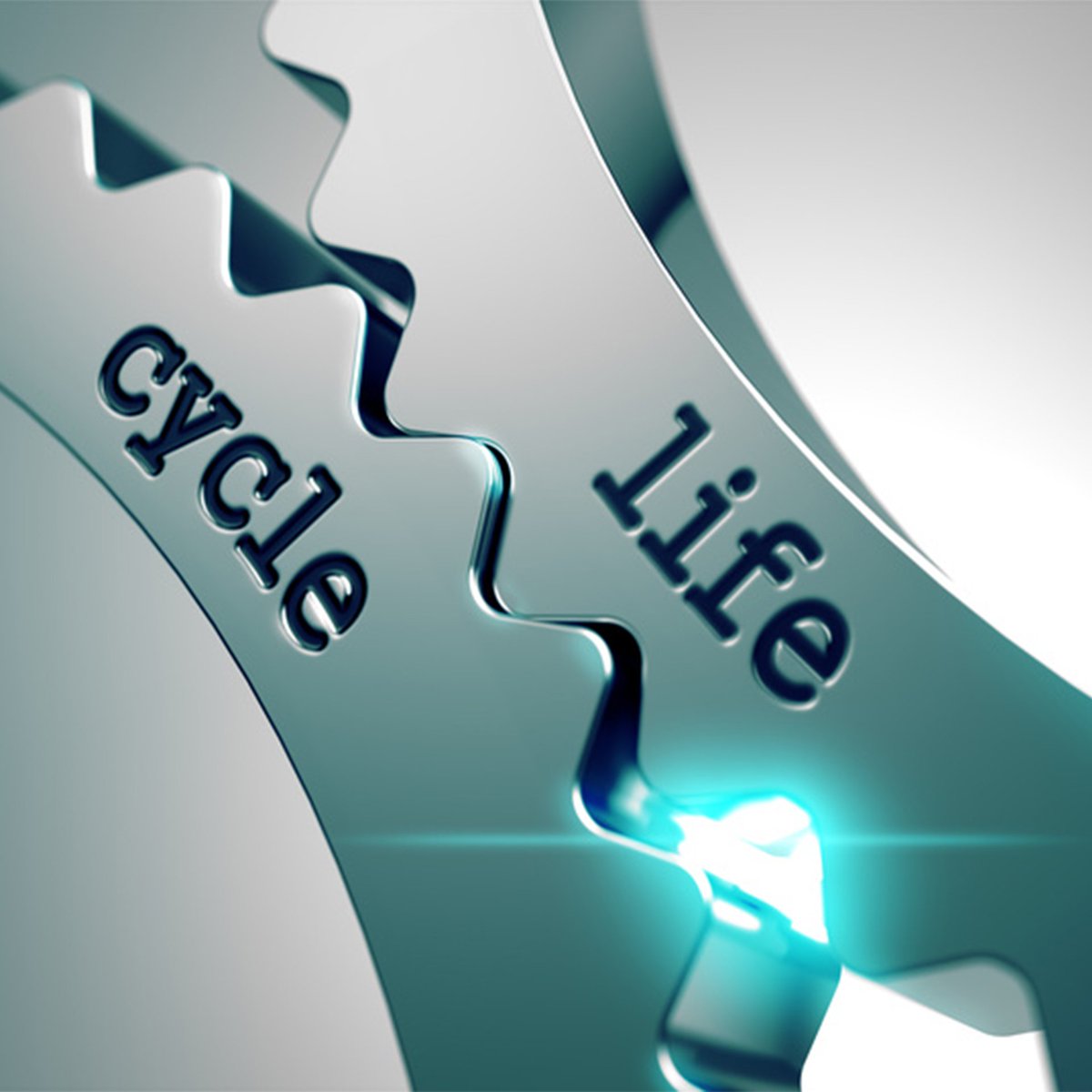 knowledge_18's tweet image. The business life cycle is something that every company goes through. Sometimes even through a decline stage. When this does happen, have a plan ready on how to save your business, it is never too late!