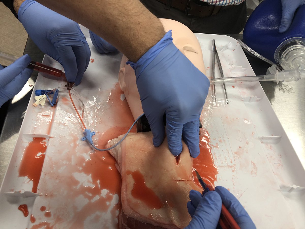 yaleem2's tweet photo. Director of Procedural Sim at Yale Center for Medical Simulation Dr. James Bonz guides residents through cric practice with some choice porcine cuts. We get dedicated simulation rotations every year of residency!  #MedEd #medicalsimulation #YCMS https://t.co/kqjq0U4tN7