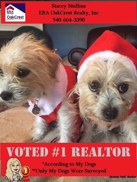 StaceySellsHome's tweet photo. Happy National Dog Day!
I have LOVED seeing all the dog pics today so I thought I'd share mine as well🐾❤️#NationalDogDay https://t.co/lnUPlCccXo